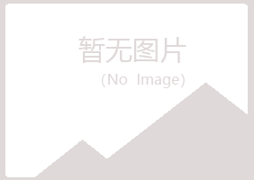 长子县冰夏化学有限公司